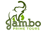Jambo Prime Tours